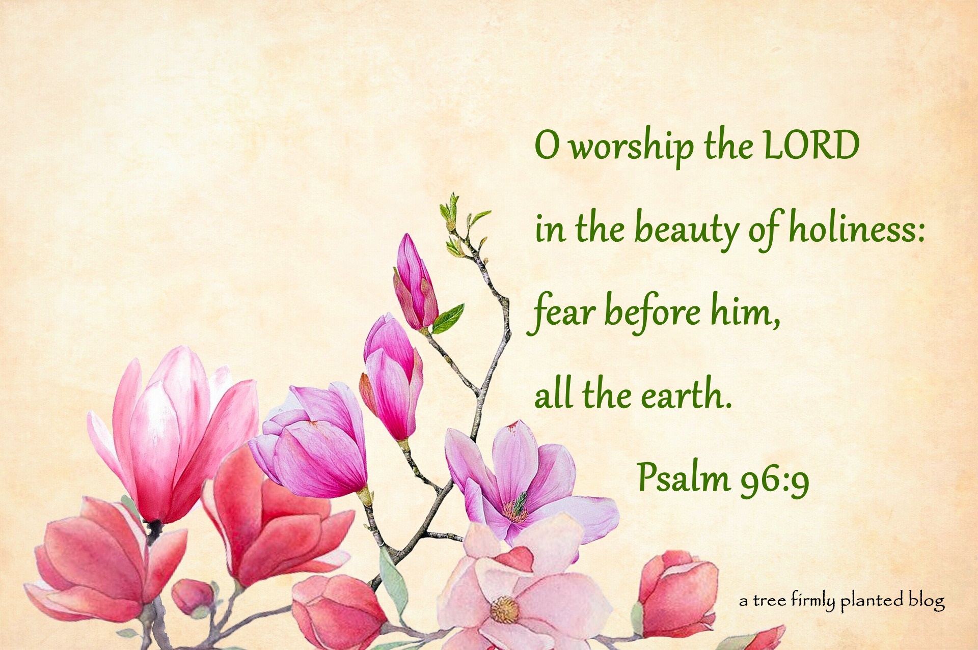flower-Ps. 96.9 a tree firmly planted | A Tree Firmly Planted